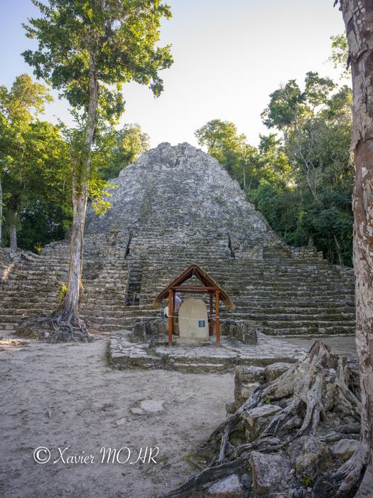 Pyramide dans la jungle